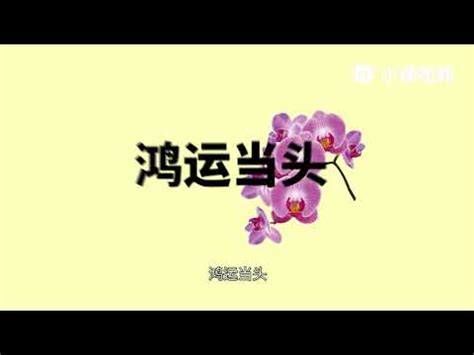 黃色蘭花風水|【黃色蘭花寓意】揭秘黃色蝴蝶蘭的花語寓意！你不可。